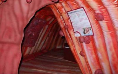 Una muestra para tomar conciencia del corazón.